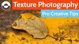 Texture Photography – Pro Tips for Super Creative Compositions