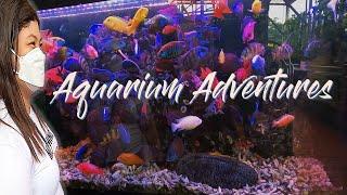 Aquarium Adventure