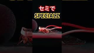 続編【SPECIALZ】セミで#弾いてみた #領域展開#呪術廻戦 #特級呪物