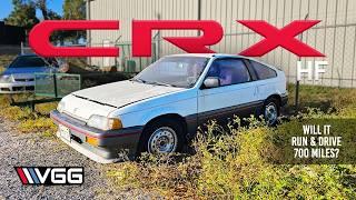 FREE Forgotten Honda CRX Parked 16 Years! Will It RUN AND DRIVE 700 Miles? (Special Guest Tavarish)