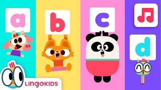 Let's sing the ABC SONG! Now all in lowercase!  ABC SONG | Lingokids