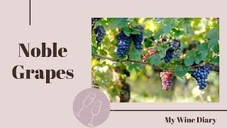 NOBLE GRAPES