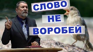 Слово не воробей | Сергей Молчанов