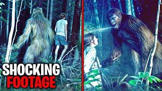 If These Camping Encounters Were Not Filmed No One Would Have Believed It!