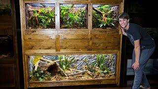 Easy DIY Plywood Reptile Enclosures