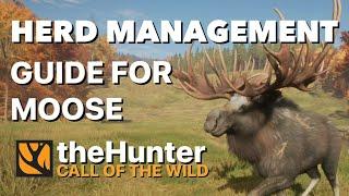 Ultimate Herd Management Guide for Moose Great One Grind on the Hunter Call of the Wild