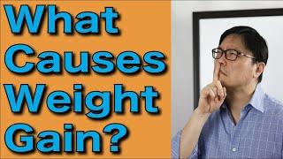 What causes Weight Gain? (How to Lose Weight) | Jason Fung