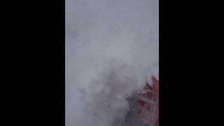 雪へダイブwww