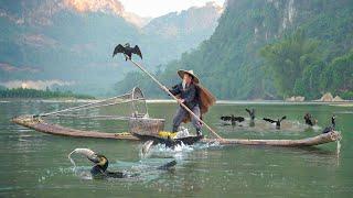 A Day in Life of a Old Fisherman Using Cormorant Birds To Catch Fish