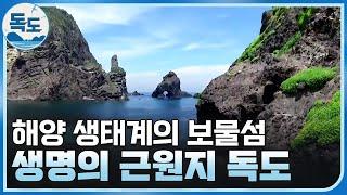 해양 생태계의 보물섬, 독도 / YTN 사이언스