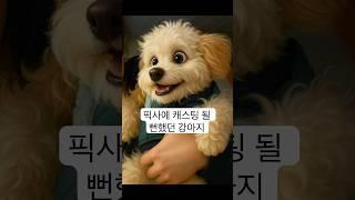 픽사에 캐스팅 될 뻔했던 강아지 토리 #shorts  #pixar  #강아지  #dog