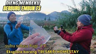 DIENG MEMBEKU‼️update terbaru selasa 15 agustus, suhu minus 1°celsius, EMBUN es terbentuk