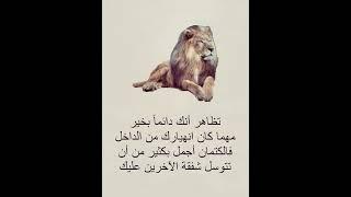 حكمة اليوم | حكم راقت لي الجزء 15