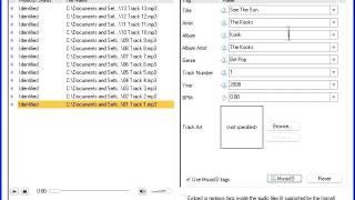 Edit Audio Tags Automatically
