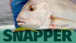 How to Catch Snapper on Soft Plastics - Inshore Snapper Fishing with ZMan Jerk Bait Plastics