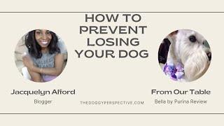 How To Prevent Losing Your Dog