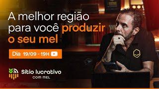 A MELHOR REGIÃO PARA VOCÊ PRODUZIR SEU MEL