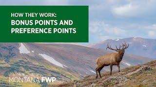 How Bonus Points and Preference Points Work