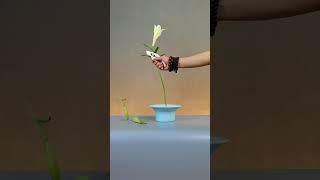 夜合花开香满庭，清香荡漾佳人笑。