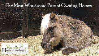 The Most Worrisome Part Of Owning Horses... Sick pony, Part 1 //   Versatile Horsemanship