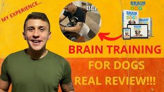 BRAIN TRAINING FOR DOGS - Alert! Brain Training for Dogs Review - Adrienne Farricelli