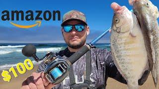 $100 AMAZON'S CHOICE Piscifun Baitcasting Reel Surf Fishing For Perch Light Tackle California Coast!