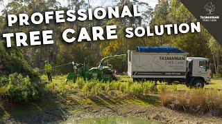 Professional tree care solutions - Tasmanian Tree Care