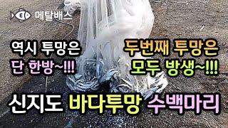 신지도 수백마리 물고기떼 바다투망, 한국투망협회 김시석 투망달인, Throw a Cast Net Master,投網釣り,とあみ,castnet,playpesca,fishing,撒網