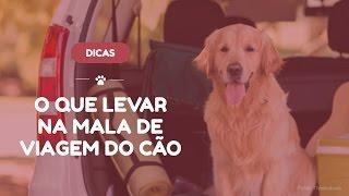 O que levar na mala de viagem do seu cãozinho