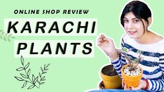 KARACHI PLANTS REVIEW | Online Plant Shopping - My Experience | NOORELLEJS