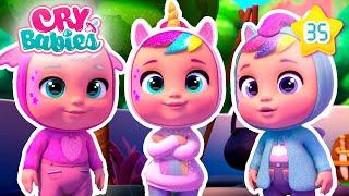 Together We Will Have Fun!  CRY BABIES  Magic Tears | Cartoons for Kids in English
