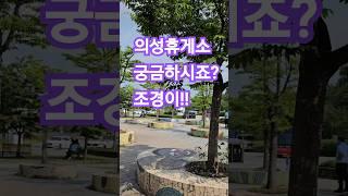의성휴게소 궁금하시죠?조경이!! #의성#의성휴게소#여행#동해로가는길 #바다가좋아#취미생활