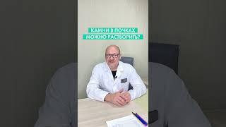 Можно ли растворить камни в почках?