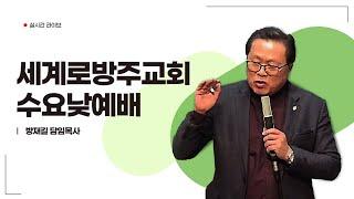 세계로 방주교회 2024년 11월 20일 수요낮 예배