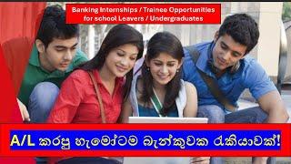 Banking Job Vacancies 2025 for A/L Students and Undergraduates in Sri Lanka |