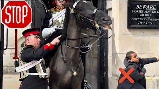 I’m WARNING You, I am Your BIG BOSS! But This Kid is UNSTOPPABLE for Messing with the HORSE 