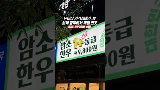 현 광주에서 제일싼 고기집 프렌차이즈아님#광주한우맛집 #첨단맛집 #새마을한우 #광주고깃집 #1+한우 #한우암소 #가성비한우 #광주데이트맛집 #광주회식맛집 #정육식당