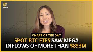 Mega ETF Inflows and Bitcoin Wallet Activity Signal Further Bullishness