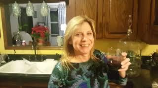 Ken and Michele Cavanaugh are showing off their Allinonewinepump Professional version -