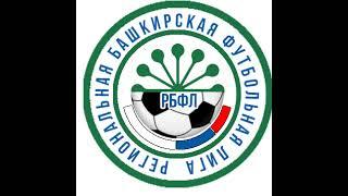 Прямая трансляция пользователя РБФЛ - Региональная Башкирская Футбольная Лига