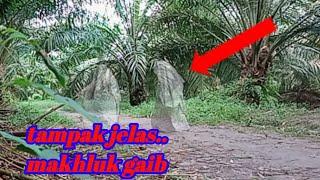 SEREM... MAKHLUK PENUNGGU HUTAN BAMBU PETUK/mante bunian