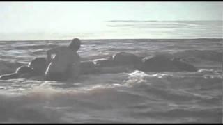 it's my island - antti laitinen