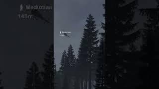 Прогулка за лутом после вайпа в DayZ #shorts #dayz #dayzmoments #standalone #pvp #AlisaBess