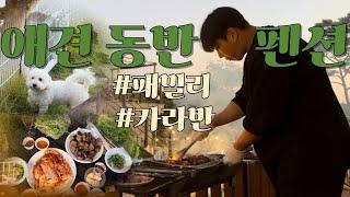 애견 동반 펜션 추천 | 패밀리 카라반 | 피노비스타 | 신혼부부일상 | @짱아부부 VLOG