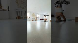 Mind cannot function without the power of the Perceiver. Sutra 4.24 #vinyasakrama #yogaflow #love