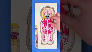 ‍Wow! Lola's Showing Us All About Our Bodies! Let's Learn Together! 