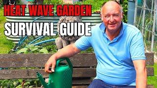Save Your Veg! Heatwave Watering Guide for No Dig Gardeners