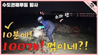 수도권해루질 한곳에서 10분만에 들고나갈수없을 만큼 주워담는 해변!!