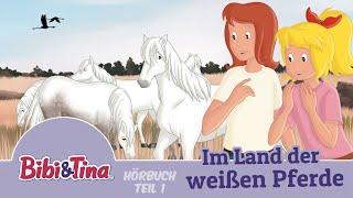 Bibi & Tina - Im Land der weißen Pferde -  über 1 Stunde Entspannung (Teil 1)