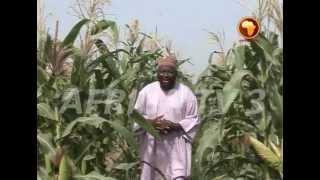 AFRICA TV 3 : NOMAN  MASARA (HAUSA)